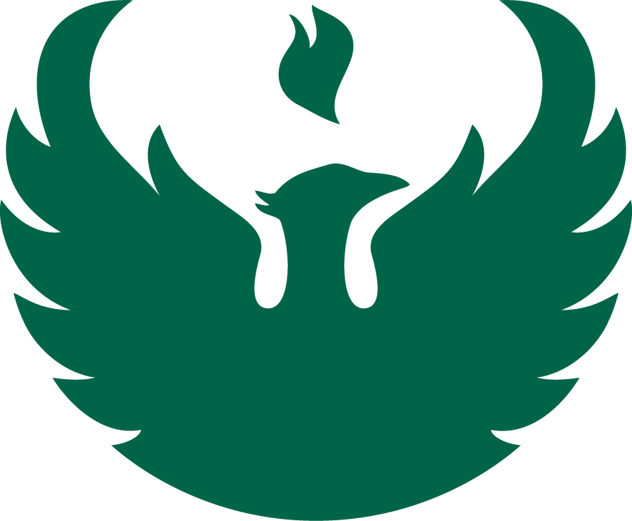 Wisconsin-Green Bay Phoenix 1997-2007 Secondary Logo diy iron on heat transfer